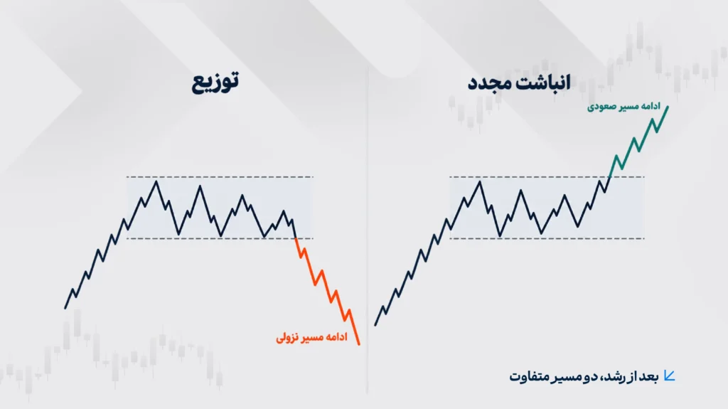 بعد از رشد در وایکوف
